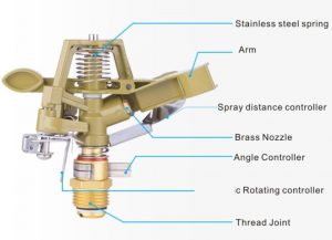 Cấu tạo của Béc cánh đập