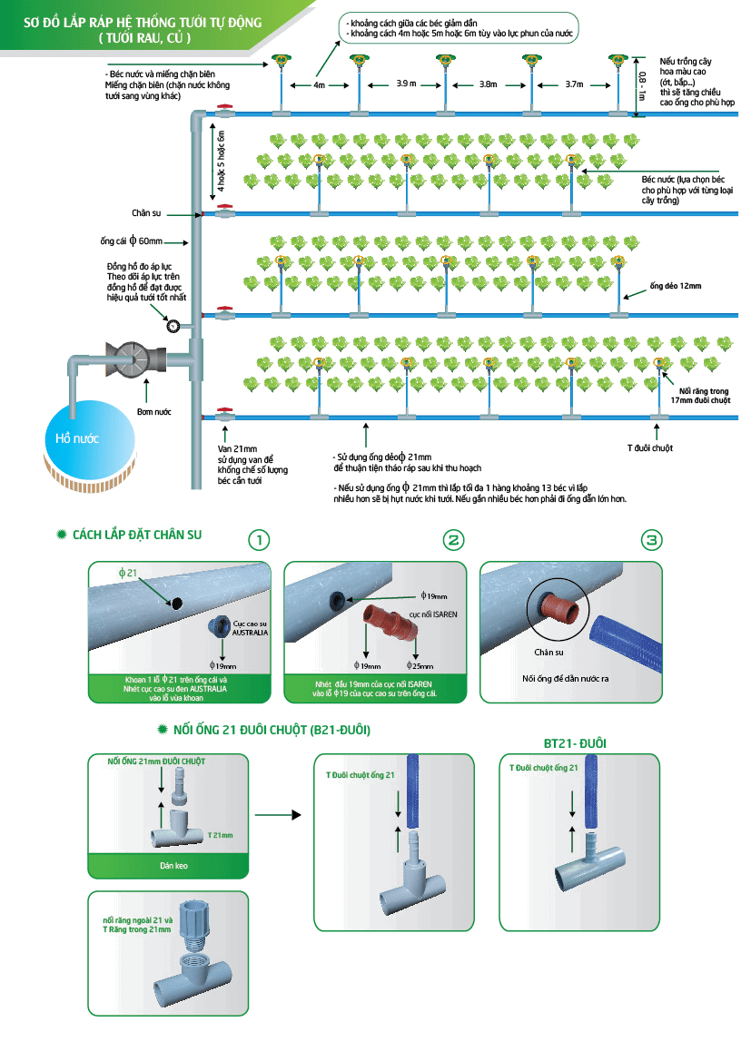 Huong Dan Thi Cong Bec Tuoi Canh Dap Taiwan
