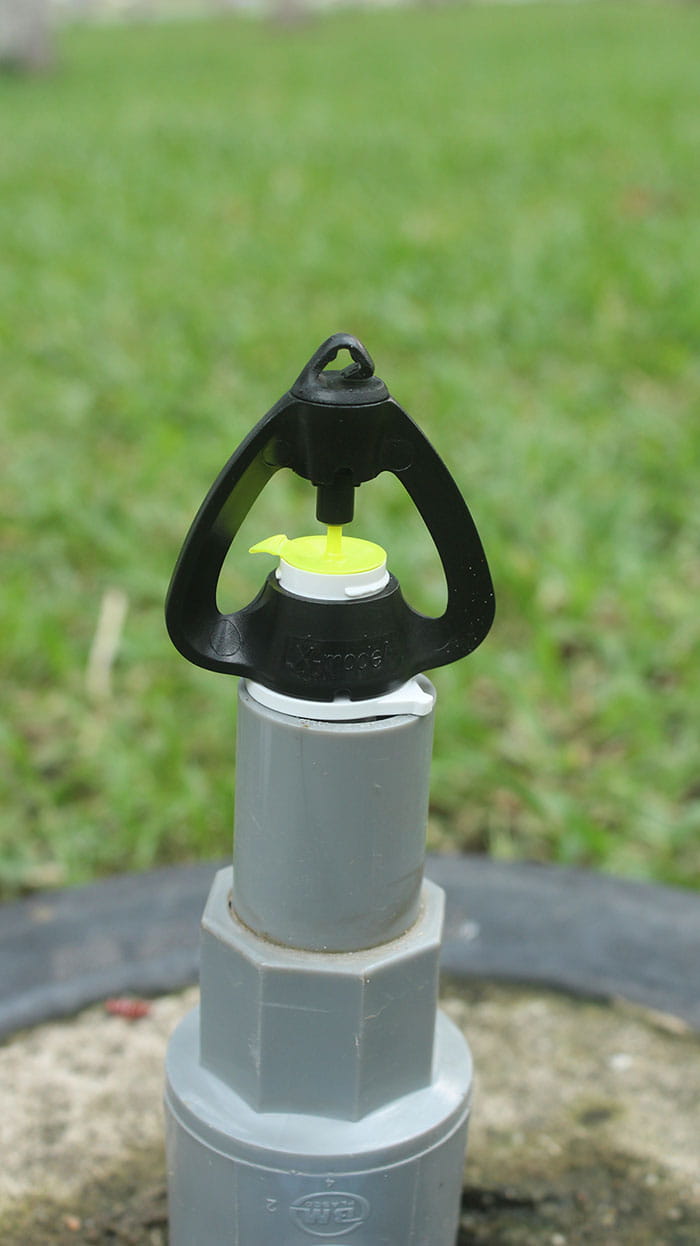 Lắp đặt thực tế Aquaman X-model