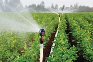 Luu Y Khi Lap Dat He Thong Tuoi Phun Mua