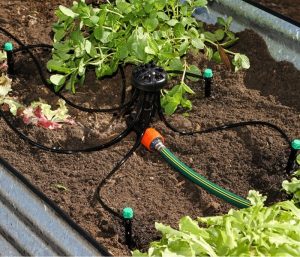 Lợi ích của hệ thống tưới tự động nhỏ giọt