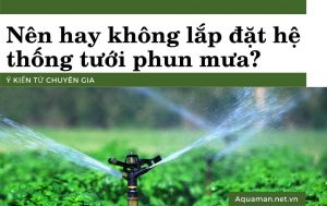 Nen Hay Khong Lap Dat He Thong Tuoi Phun Mua