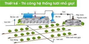 Thi công hệ thống tưới nhỏ giọt