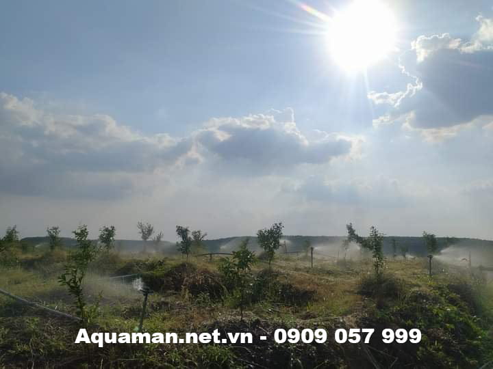 Tổng hợp các dự án đã được triển khai bởi Aquaman 2 Du An Tuoi Cam Sanh Ong Ba Hong O Tan Uyen Binh Duong 2
