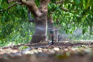 Ứng dụng thực tế của hệ thống tưới bù áp